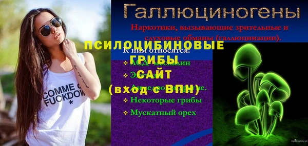 ALPHA PVP Остров