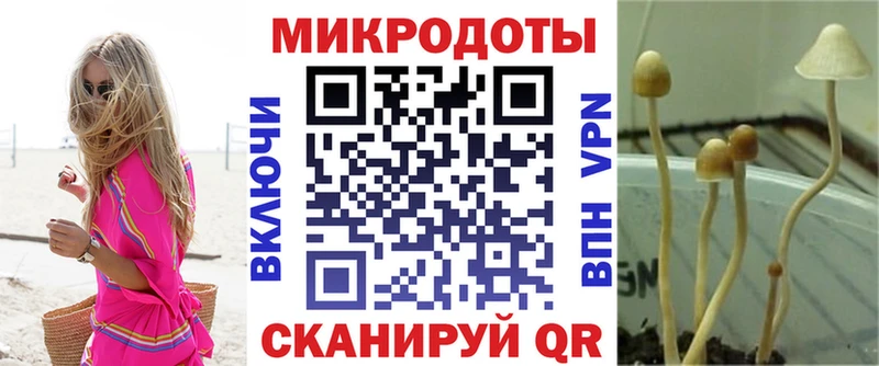 блэк спрут как зайти  Заволжье  Псилоцибиновые грибы мухоморы 